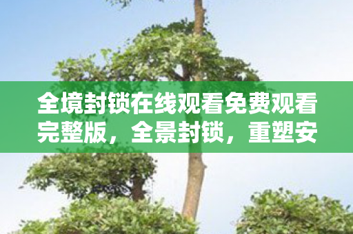 全境封锁在线观看免费观看完整版，全景封锁，重塑安全与隐私的边界
