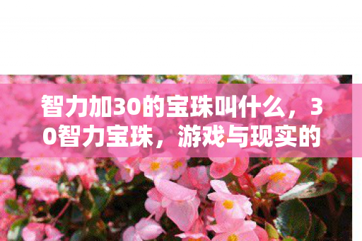 智力加30的宝珠叫什么,30智力宝珠,游戏与现实的交汇点 智力加30的宝珠叫什么,30智力宝珠,游戏与现实的交汇点