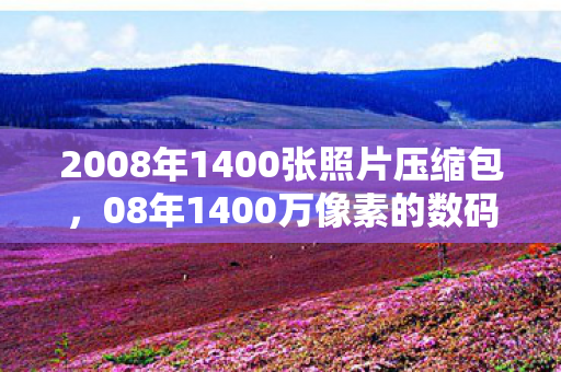 2008年1400张照片压缩包图片