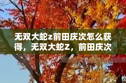 无双大蛇z前田庆次怎么获得图片