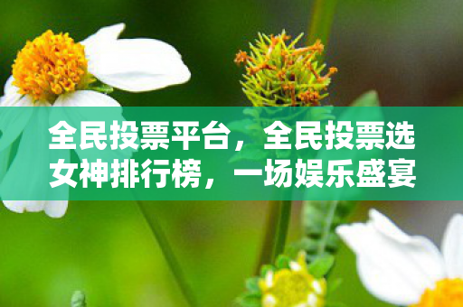 全民投票平台，全民投票选女神排行榜，一场娱乐盛宴的剖析