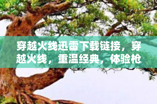 穿越火线迅雷下载链接图片