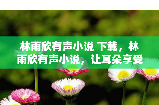 林雨欣有声小说 下载图片