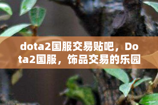 饰品交易的乐园与注意事项图片