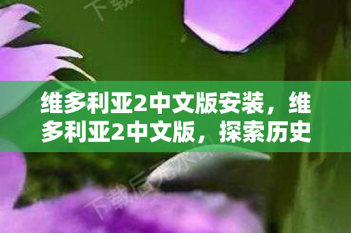 维多利亚2中文版安装，维多利亚2中文版，探索历史与战略的深度交融