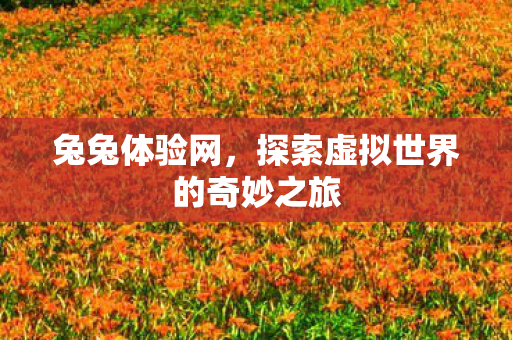 探索虚拟世界的奇妙之旅图片