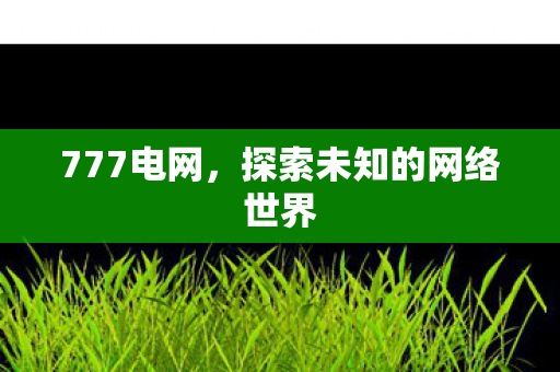 探索未知的网络世界图片