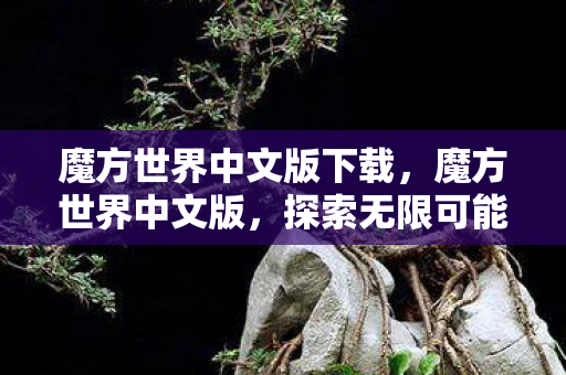 魔方世界中文版下载，魔方世界中文版，探索无限可能的数字迷宫