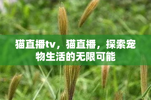 探索宠物生活的无限可能图片