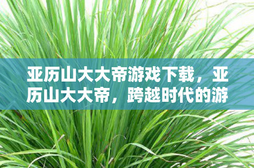 亚历山大大帝游戏下载，亚历山大大帝，跨越时代的游戏传奇