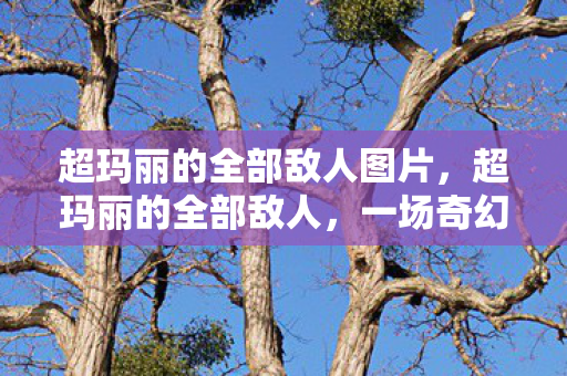 一场奇幻冒险的阻碍与挑战图片