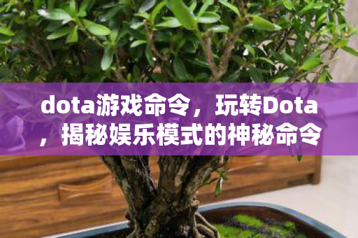 揭秘娱乐模式的神秘命令图片