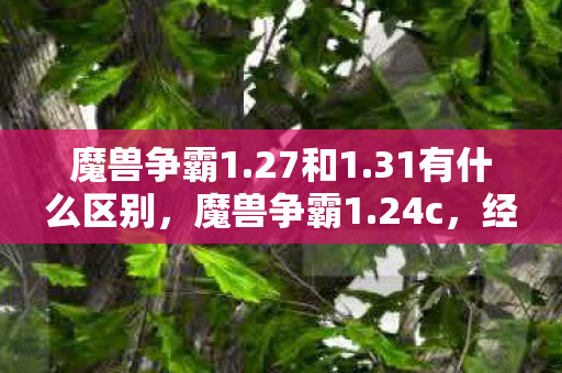 魔兽争霸1.27和1.31有什么区别，魔兽争霸1.24c，经典再现，再战江湖！