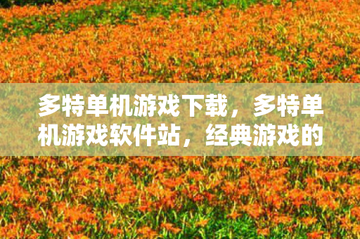 经典游戏的回忆与传承图片
