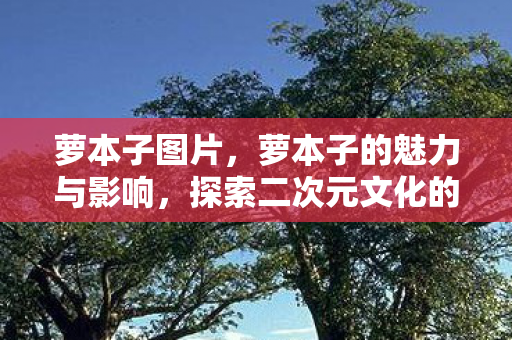 萝本子图片,萝本子的魅力与影响,探索二次元文化的独特魅力 萝本子图片,萝本子的魅力与影响,探索二次元文化的独特魅力