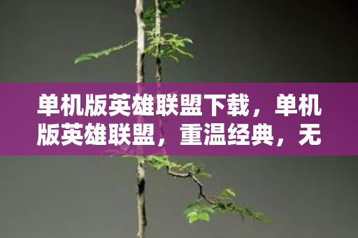 单机版英雄联盟下载，单机版英雄联盟，重温经典，无需联网的畅快对战