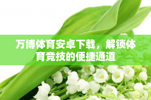 万博体育安卓下载,解锁体育竞技的便捷通道 万博体育安卓下载,解锁体育竞技的便捷通道