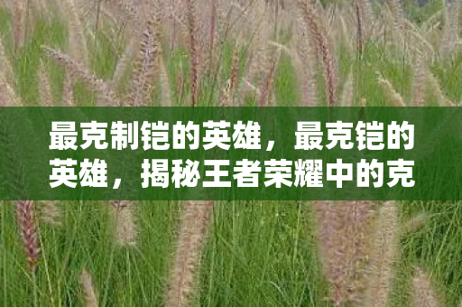 最克制铠的英雄,最克铠的英雄,揭秘王者荣耀中的克制关系 最克制铠的英雄,最克铠的英雄,揭秘王者荣耀中的克制关系