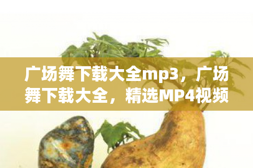 广场舞下载大全mp3，广场舞下载大全，精选MP4视频，让您的舞步更加流畅