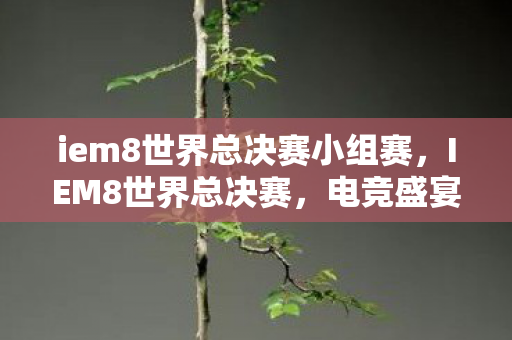 iem8世界总决赛小组赛，IEM8世界总决赛，电竞盛宴的巅峰对决