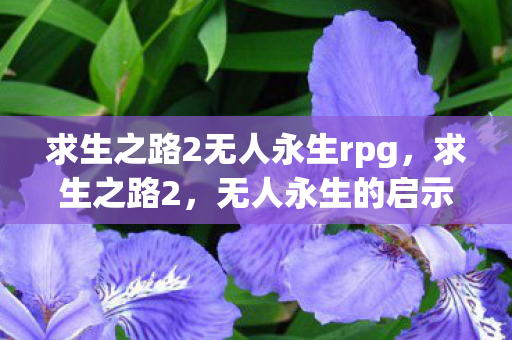 求生之路2无人永生rpg，求生之路2，无人永生的启示