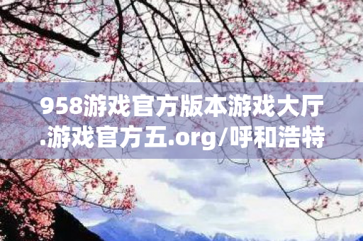958游戏官方版本游戏大厅.游戏官方五.org/呼和浩特，958游戏，探索数字时代的娱乐新纪元