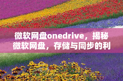 微软网盘onedrive，揭秘微软网盘，存储与同步的利器