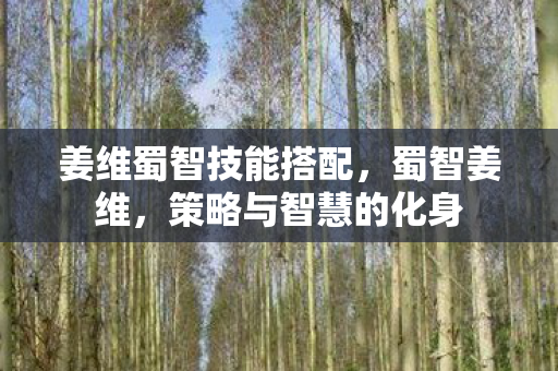 姜维蜀智技能搭配,蜀智姜维,策略与智慧的化身 姜维蜀智技能搭配,蜀智姜维,策略与智慧的化身