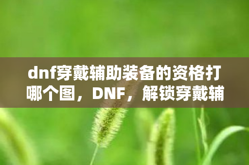 dnf穿戴辅助装备的资格打哪个图，DNF，解锁穿戴辅助装备的资格，提升战斗力的关键一步