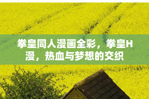 拳皇同人漫画全彩，拳皇H漫，热血与梦想的交织