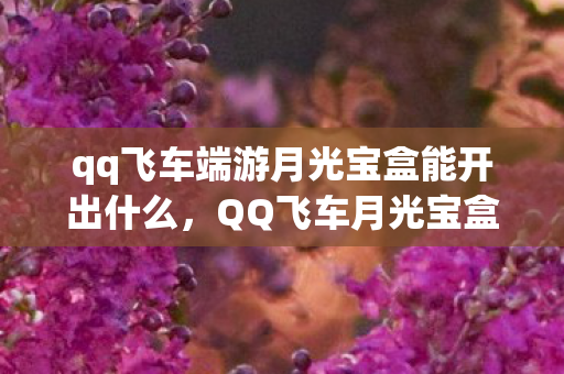 qq飞车端游月光宝盒能开出什么，QQ飞车月光宝盒，探寻神秘宝藏，体验极速飞驰的乐趣