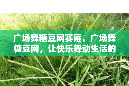 广场舞糖豆网赛雍，广场舞糖豆网，让快乐舞动生活的平台