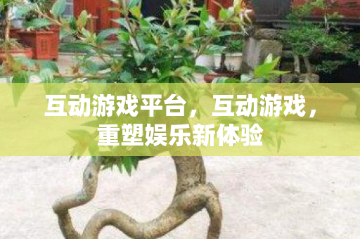 互动游戏平台,互动游戏,重塑娱乐新体验 互动游戏平台,互动游戏,重塑娱乐新体验