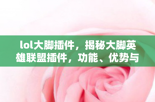 lol大脚插件，揭秘大脚英雄联盟插件，功能、优势与使用指南