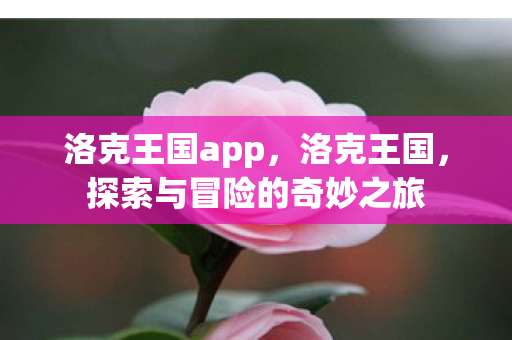 洛克王国app，洛克王国，探索与冒险的奇妙之旅
