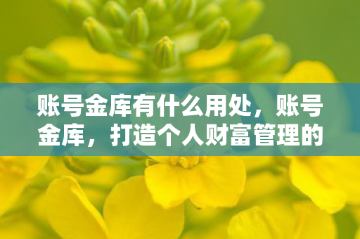 账号金库有什么用处，账号金库，打造个人财富管理的智能平台