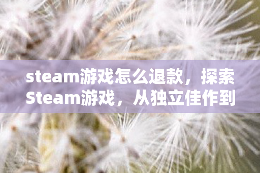 steam游戏怎么退款,探索Steam游戏,从独立佳作到AAA巨作的无限可能 steam游戏怎么退款,探索Steam游戏,从独立佳作到AAA巨作的无限可能