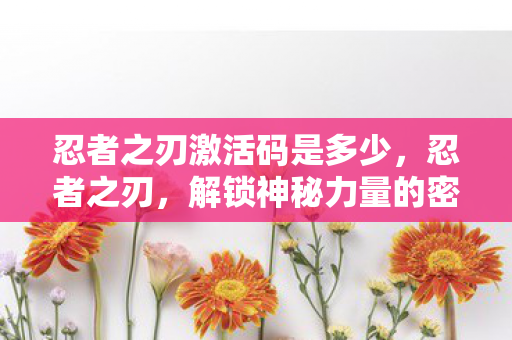 忍者之刃激活码是多少，忍者之刃，解锁神秘力量的密钥