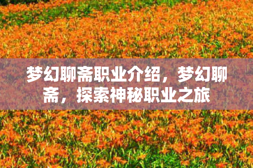 梦幻聊斋职业介绍,梦幻聊斋,探索神秘职业之旅 梦幻聊斋职业介绍,梦幻聊斋,探索神秘职业之旅
