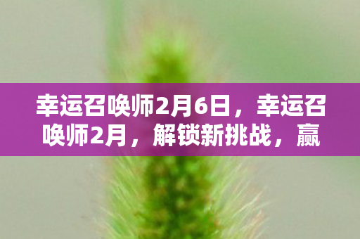 幸运召唤师2月6日，幸运召唤师2月，解锁新挑战，赢取丰厚奖励！