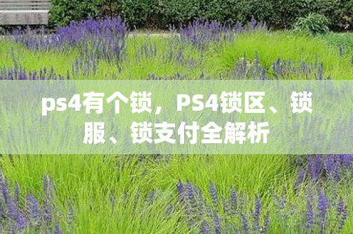 ps4有个锁,PS4锁区、锁服、锁支付全解析 ps4有个锁,PS4锁区、锁服、锁支付全解析