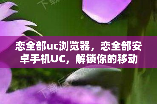 恋全部uc浏览器，恋全部安卓手机UC，解锁你的移动娱乐新体验