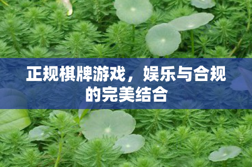 正规棋牌游戏,娱乐与合规的完美结合 正规棋牌游戏,娱乐与合规的完美结合