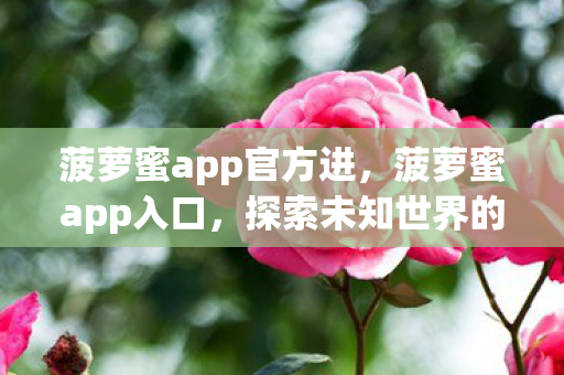 菠萝蜜app官方进，菠萝蜜app入口，探索未知世界的奇妙之旅