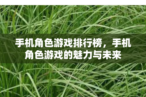 手机角色游戏的魅力与未来图片