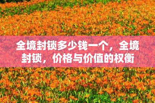 全境封锁多少钱一个,全境封锁,价格与价值的权衡 全境封锁多少钱一个,全境封锁,价格与价值的权衡