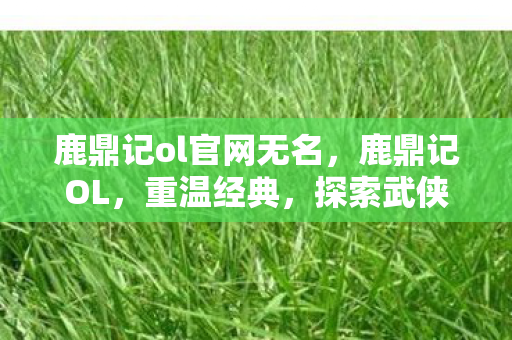 鹿鼎记ol官网无名，鹿鼎记OL，重温经典，探索武侠新世界