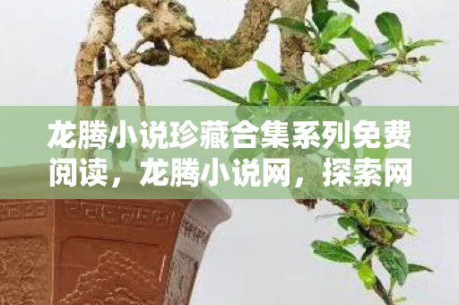 龙腾小说珍藏合集系列免费阅读，龙腾小说网，探索网络文学的无限可能