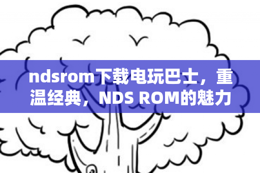 ndsrom下载电玩巴士，重温经典，NDS ROM的魅力与回忆