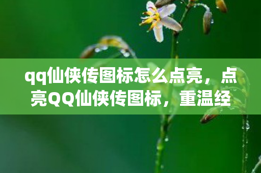 qq仙侠传图标怎么点亮，点亮QQ仙侠传图标，重温经典，再续前缘